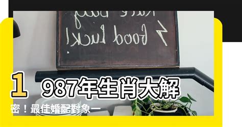 1987年屬什麼生肖|1987年出生是什麼命？